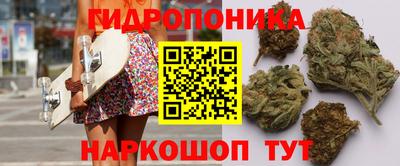 шишки Балашиха