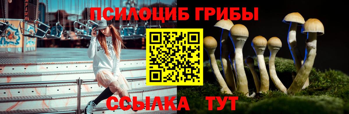 Псилоцибиновые грибы Psilocybine cubensis Егорьевск